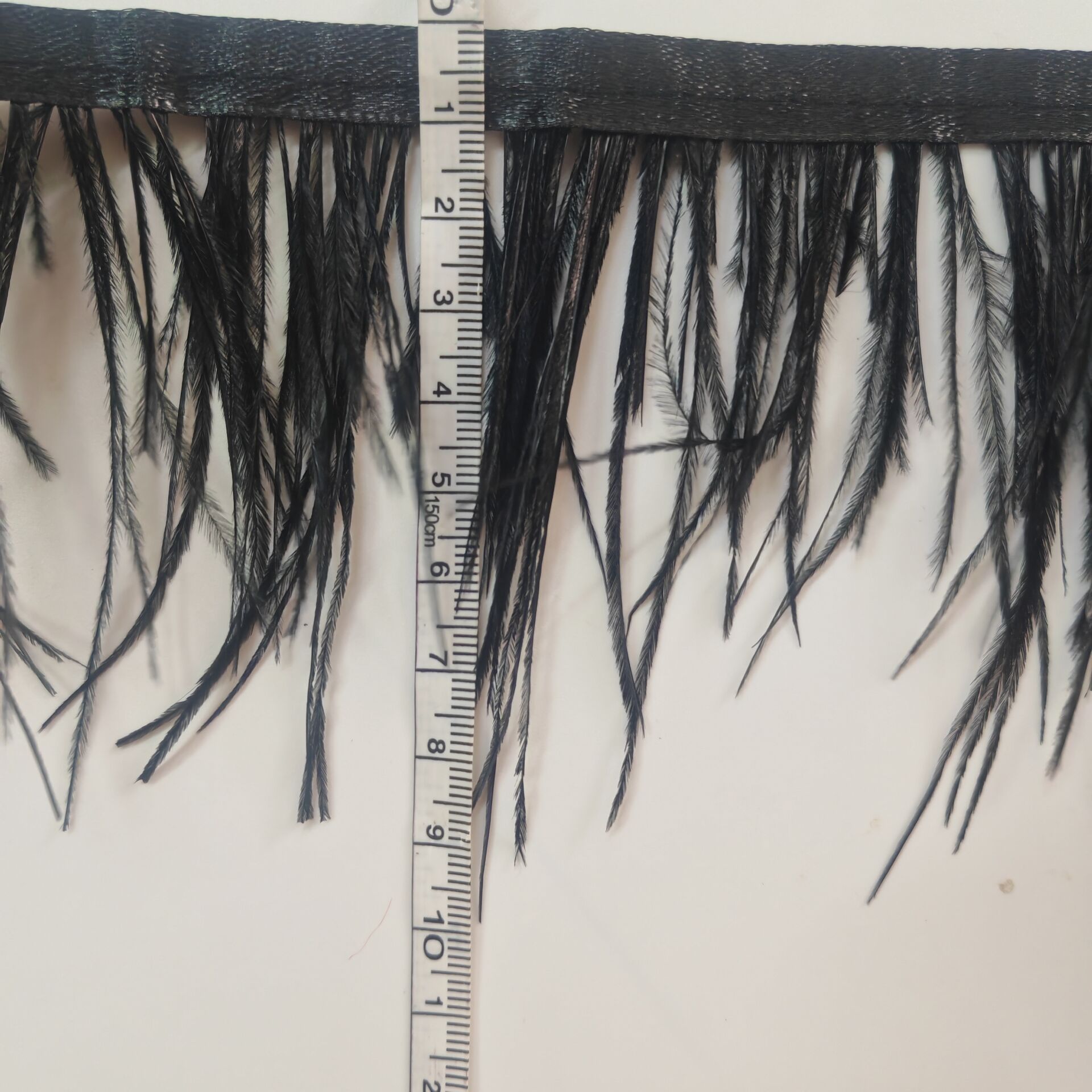 Schwarze Straußenfeder-Fransen – Fringe Ribbon Sewing Bewertung und Preis