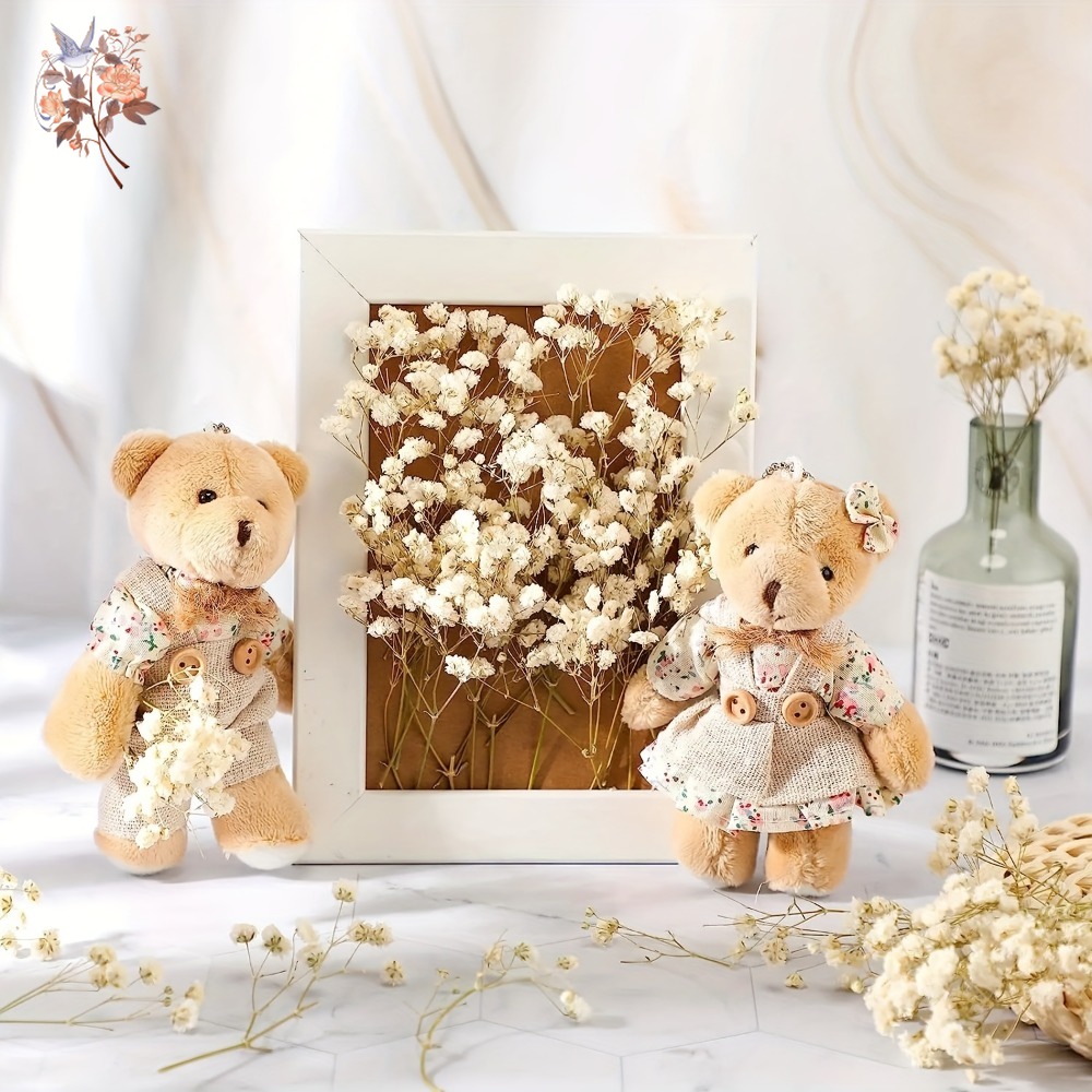 100 Stück Mini Getrocknete Sch – Embellish Craft Bewertung und Preis